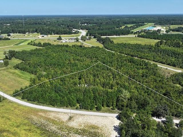 Land for sale in Johnsonville, Florence County