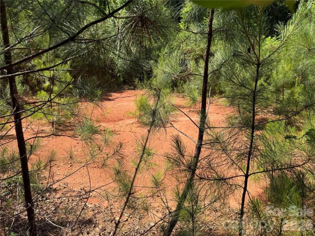Land for sale in Rutherford, North Carolina