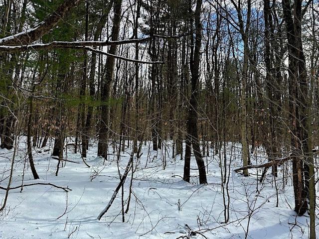 Land for sale in Orwell, New York