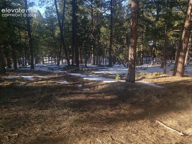 Land for sale in Teller, Colorado