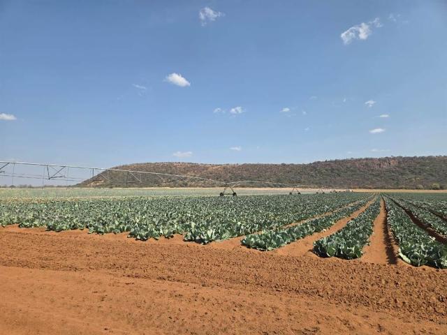 Farm for sale in Limpopo