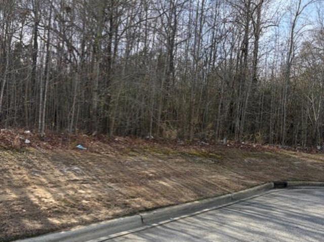 Land for sale in Erwin, North Carolina