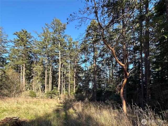 Land for sale in Friday Harbor, San Juan County