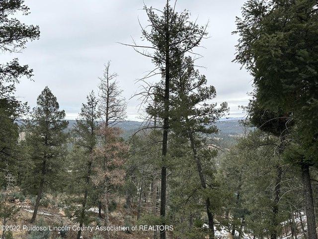 Land for sale in Alto, New Mexico