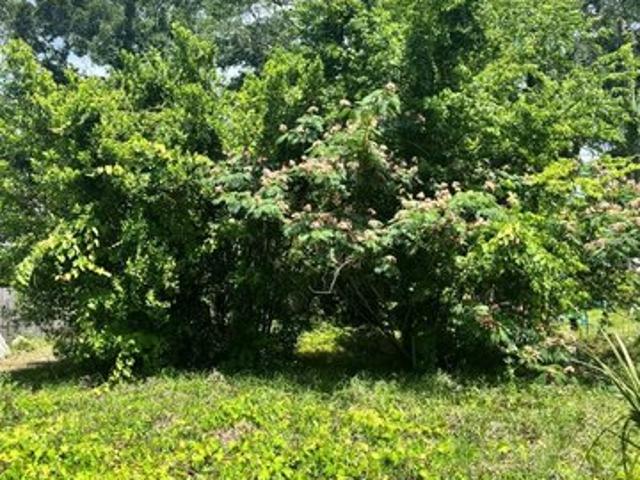 Land for sale in Chiefland, Florida