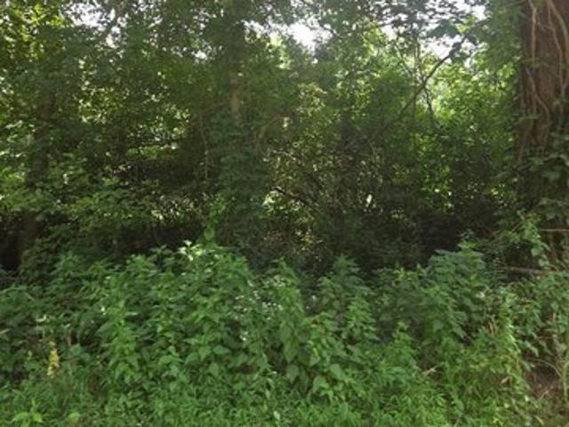 Land for sale in Pulaski, Illinois