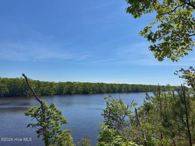 Land for sale in Winton, North Carolina