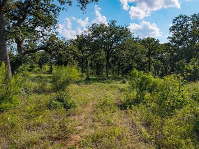 Land for sale in Bastrop, Texas