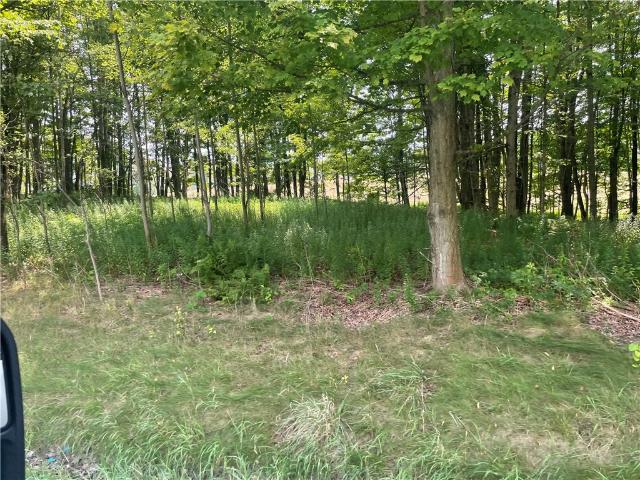 Land for sale in Masonville, New York