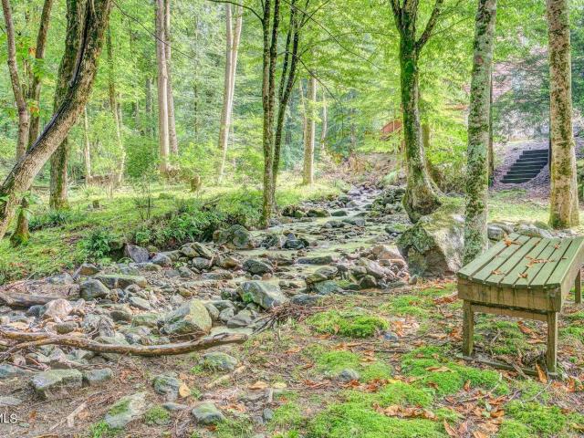 Land for sale in Roan Mountain, East Tennessee