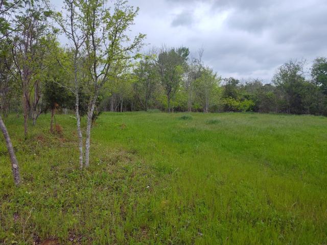 Land for sale in Milam, Texas