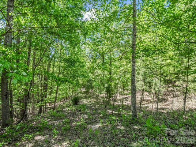 Land for sale in Tryon, North Carolina