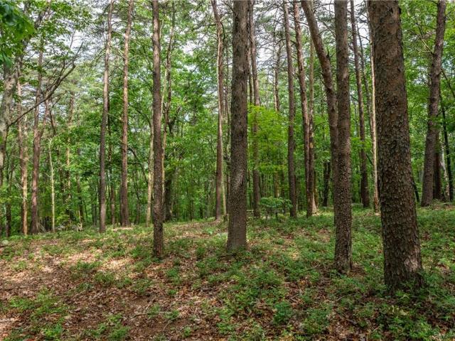 Land for sale in Pickens, Georgia
