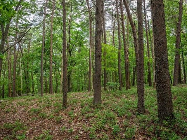 Land for sale in Pickens, Georgia