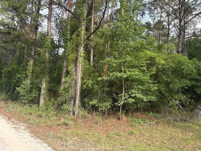 Land for sale in Suwannee, Florida