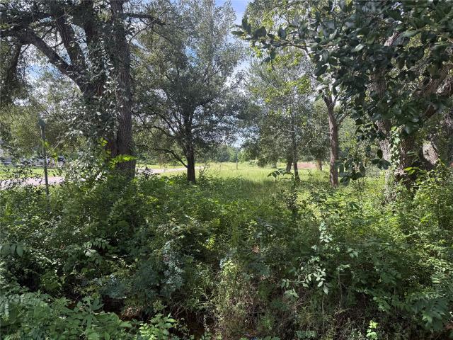Land for sale in Prairie View, Texas