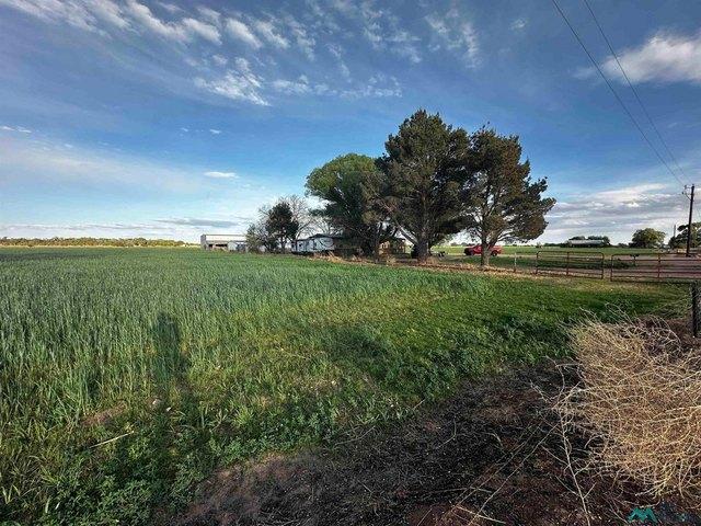 House for sale in Fort Sumner, New Mexico