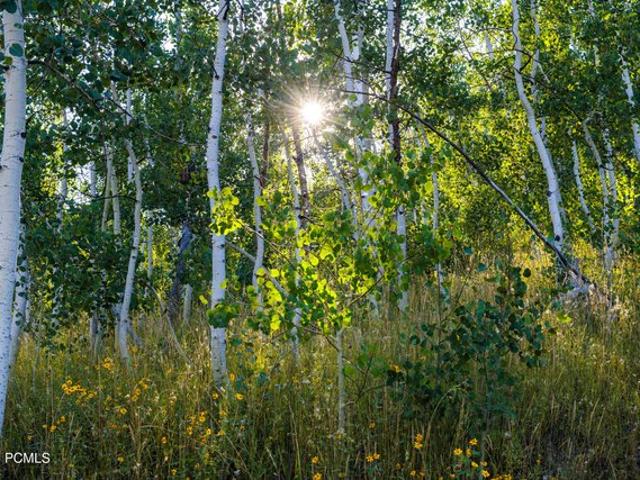 Land for sale in Coalville, Utah
