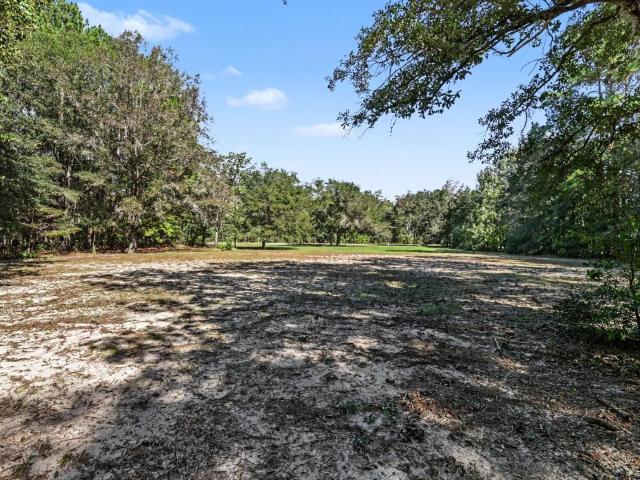 Land for sale in Conway, Horry County
