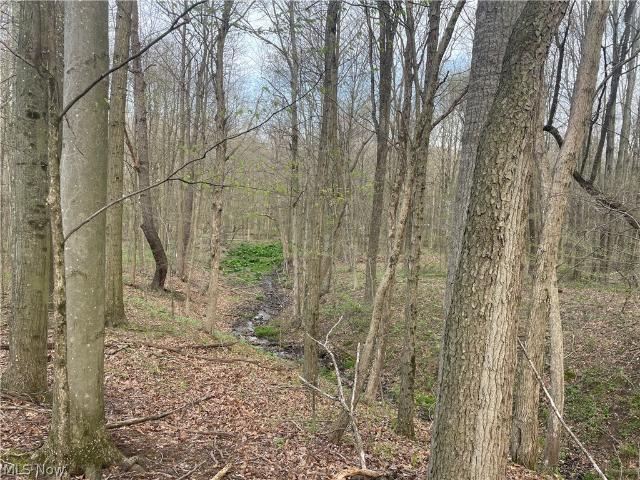 Land for sale in Minerva, Ohio