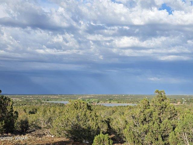 Land for sale in Navajo, Arizona