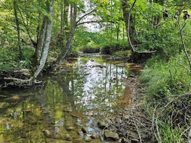 Land for sale in West Virginia