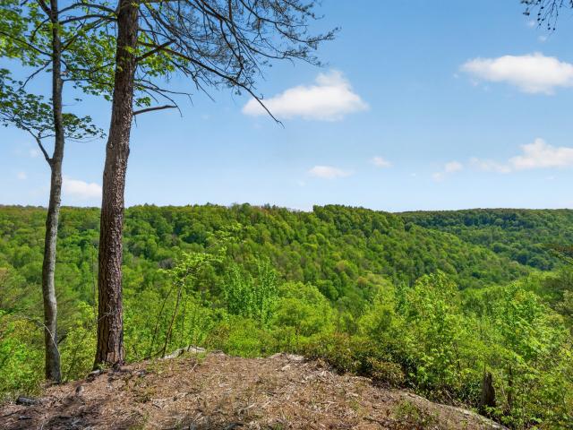 Land for sale in Tennessee