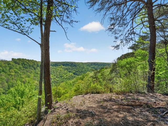 Land for sale in Tennessee