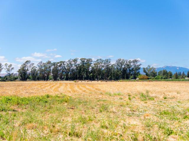 Land for sale in Vineburg, California