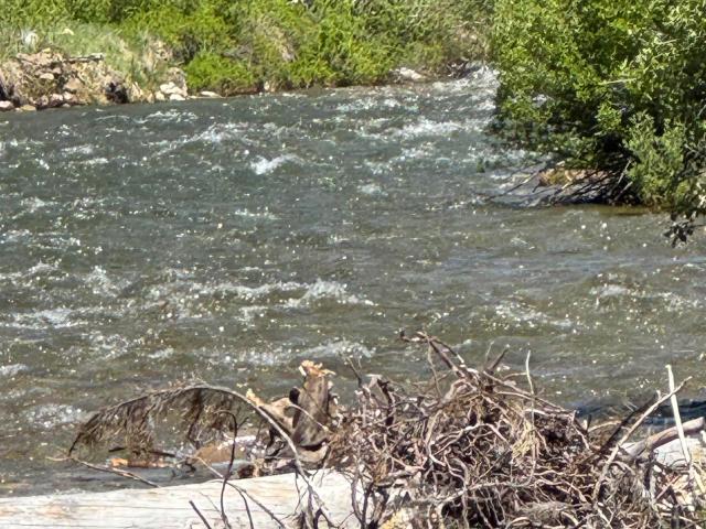 House for sale in Idaho