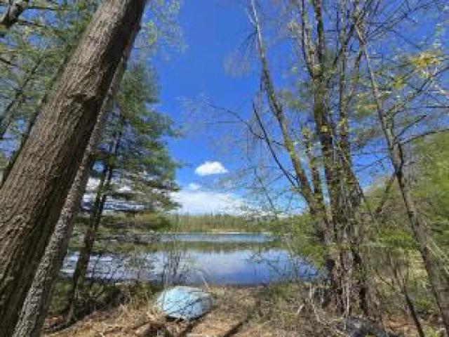 Land for sale in Comins, Michigan