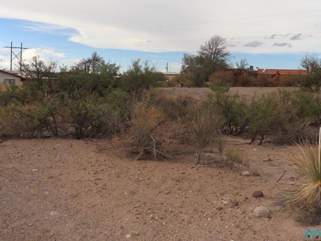 Land for sale in Elephant Butte, New Mexico