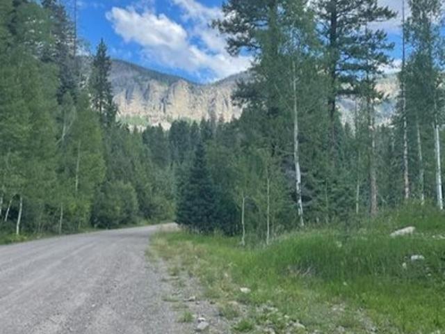 Land for sale in Mineral, Colorado