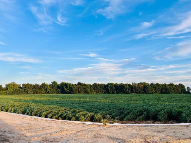 Land for sale in Ark