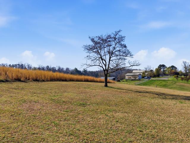 Land for sale in Tennessee