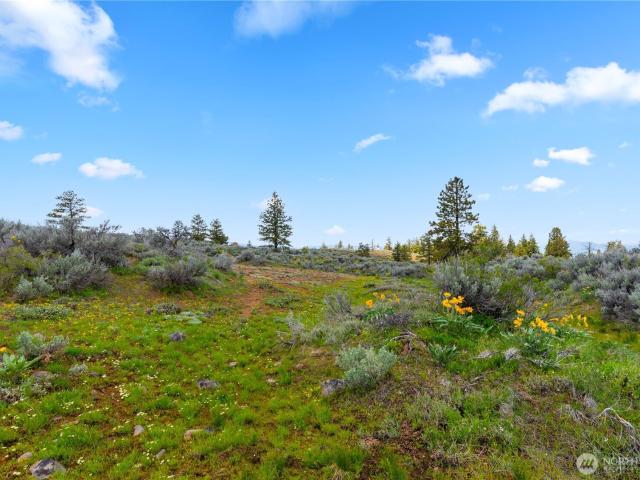 Land for sale in East Wenatchee