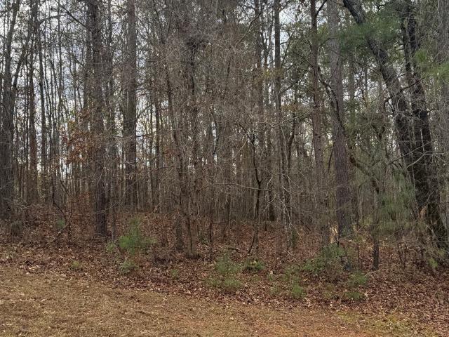 Land for sale in Forsyth, Georgia