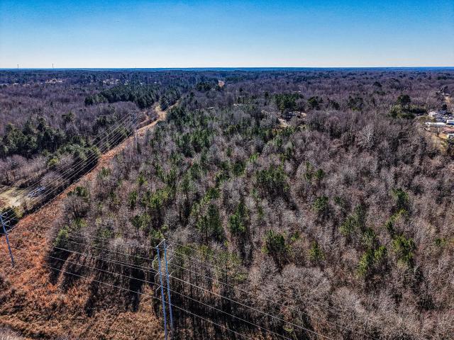 Land for sale in Booneville, Mississippi