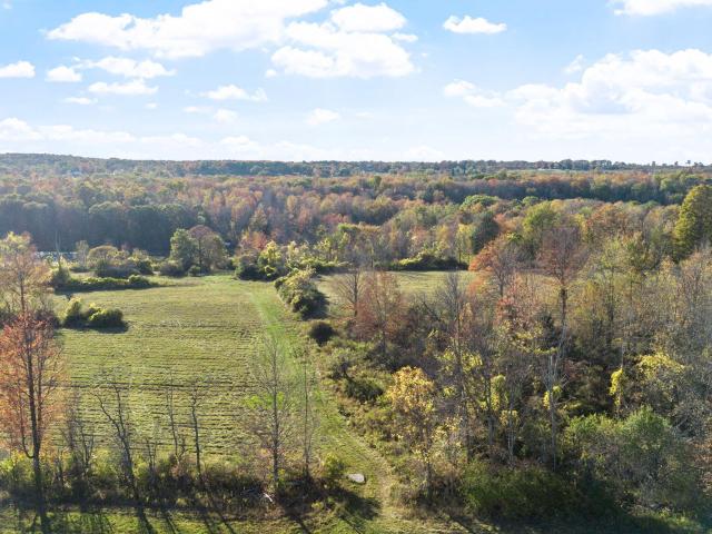 Land for sale in Westerlo, New York