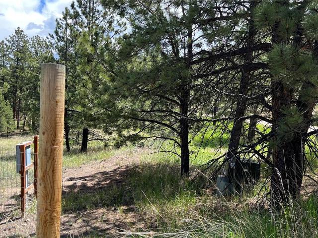 Land for sale in Custer, Colorado