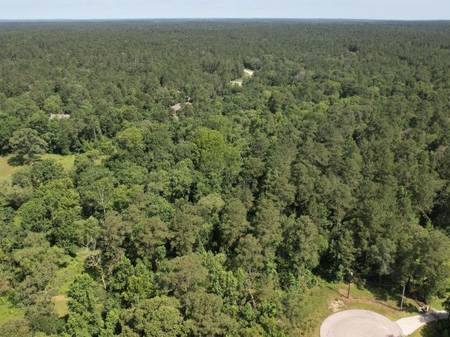 Land for sale in Walker, Texas