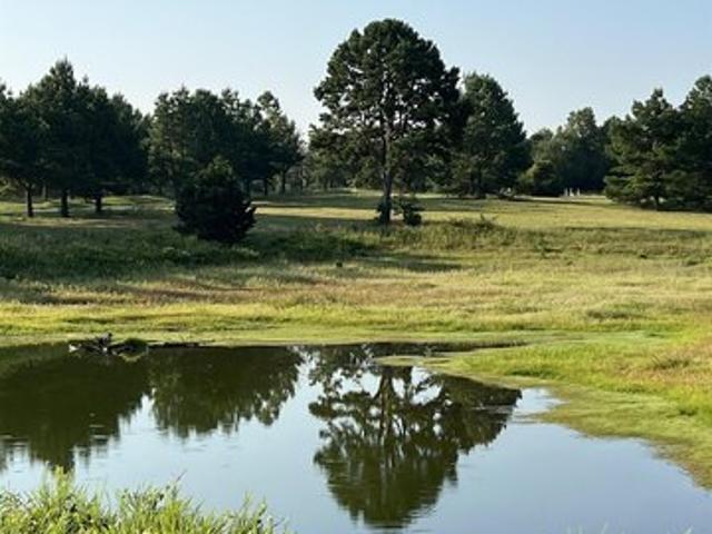 Land for sale in Ark