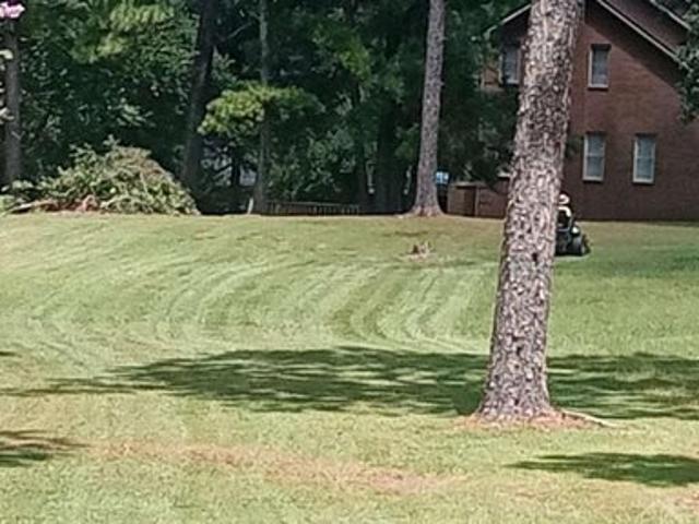 Land for sale in Cordele, Georgia