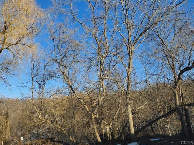 Land for sale in Nedrow, New York