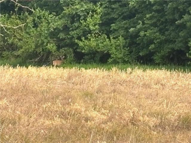 Land for sale in Kansas