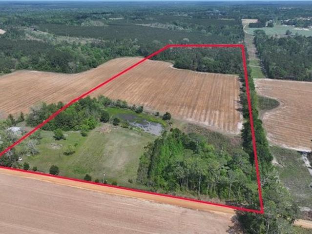 Farm for sale in Quitman, Georgia