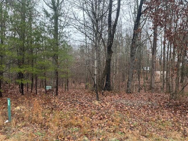 Land for sale in Tennessee