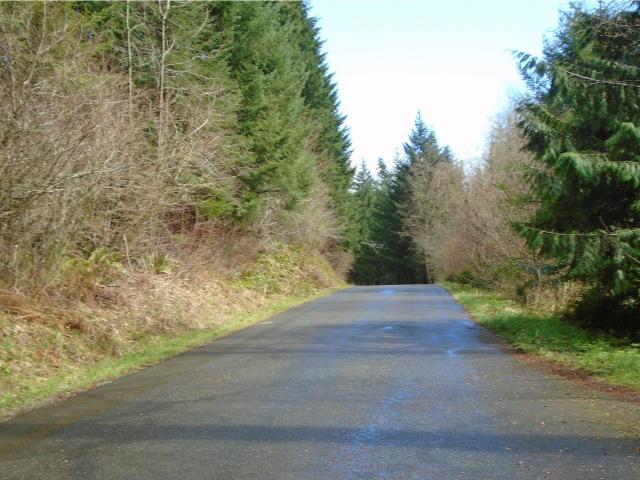 House for sale in Yacolt, Washington