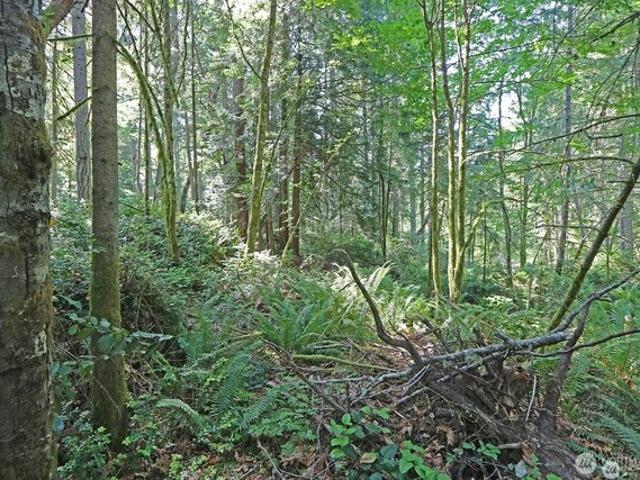 Land for sale in Vashon, Washington