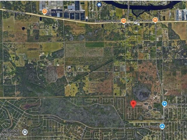 Land for sale in Alva, Florida